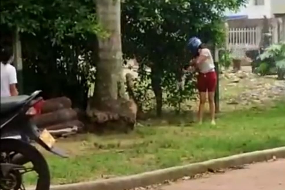 La millonaria multa que deberá pagar una mujer que abandonó un gato en Bucaramanga