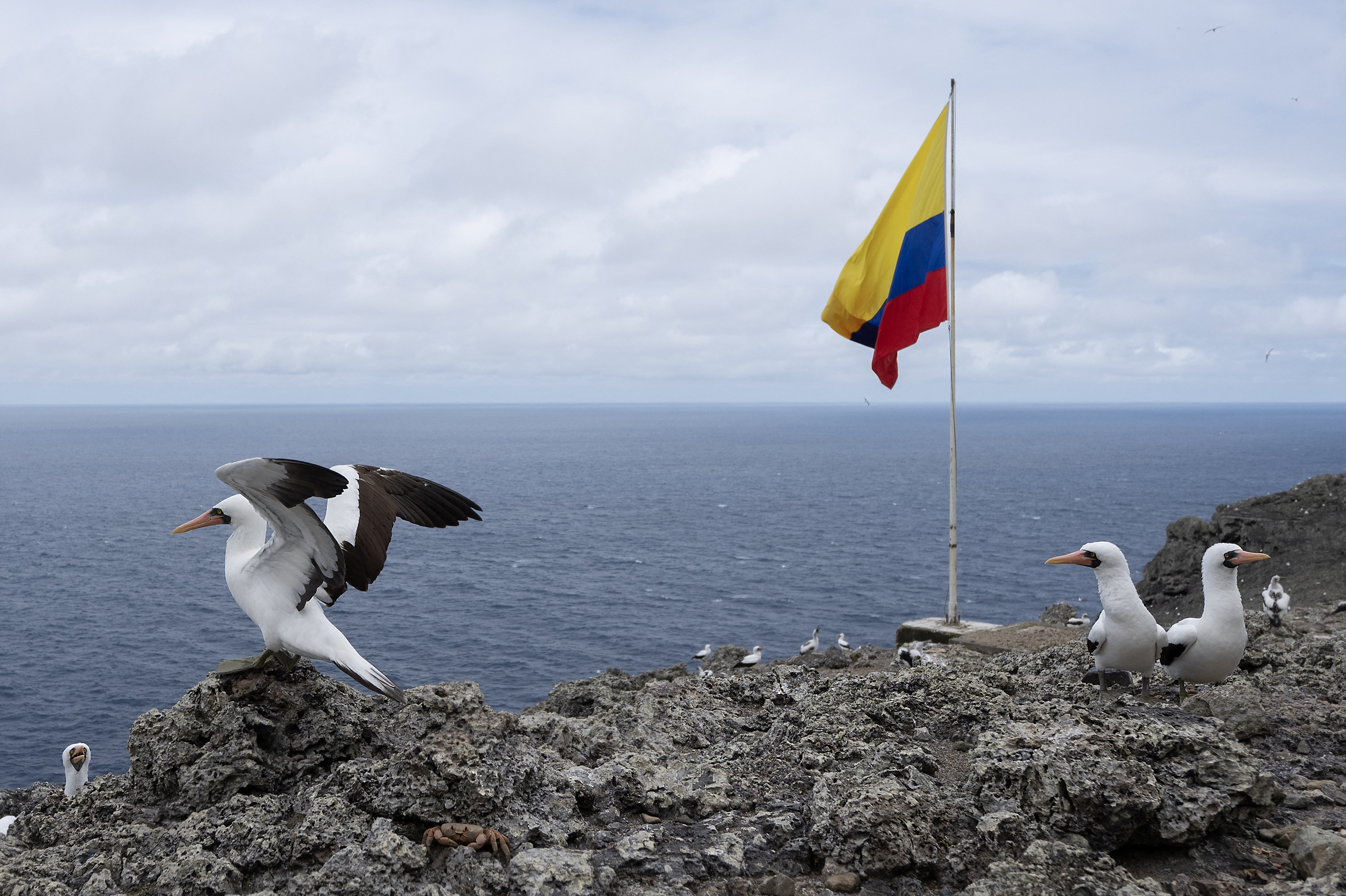 Suspenden actividades de turismo en varios parques de Colombia por advertencia de tsunami