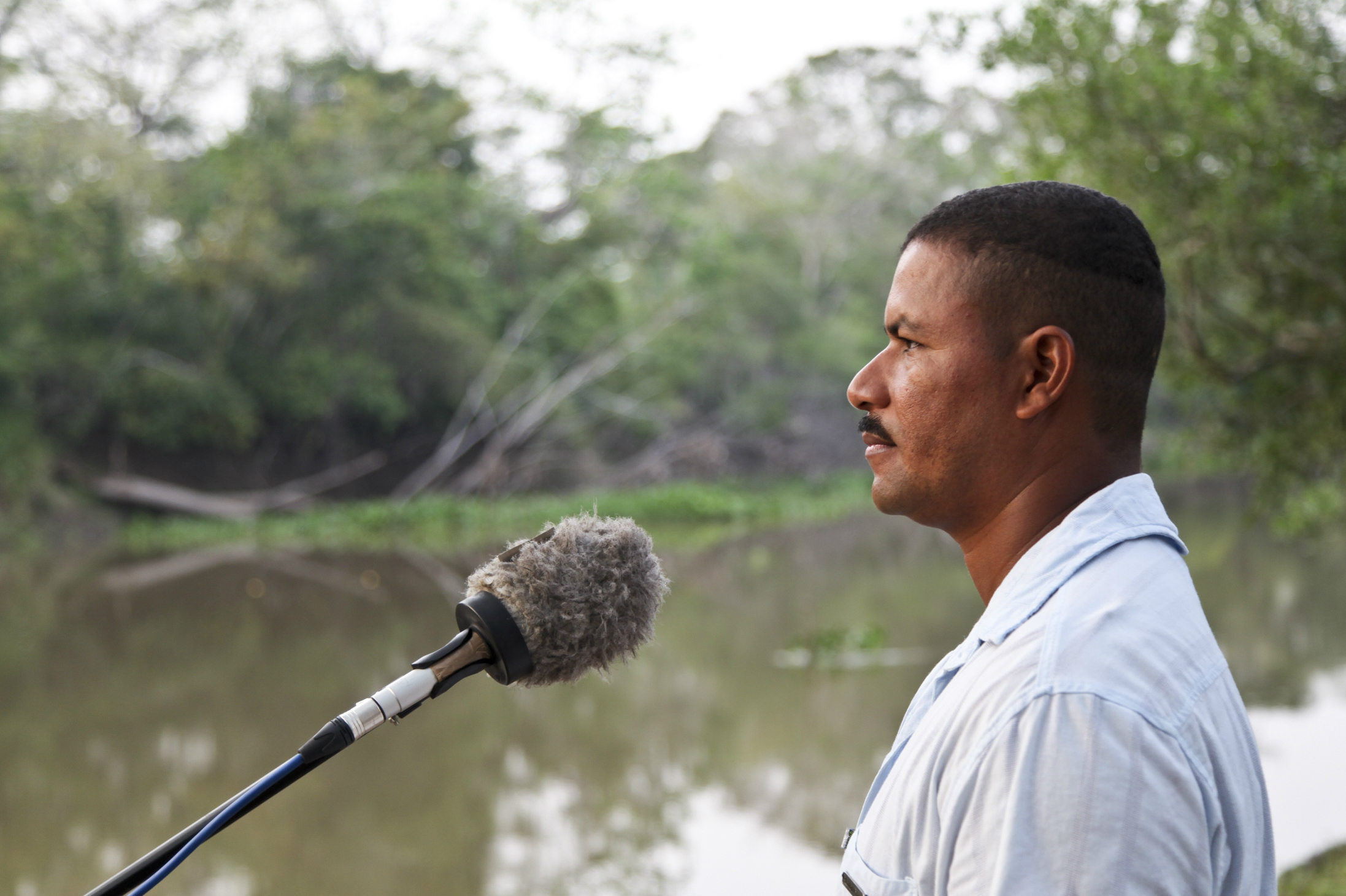 (Pódcast) Los Paveros, un canto campesino contra el desplazamiento forzado