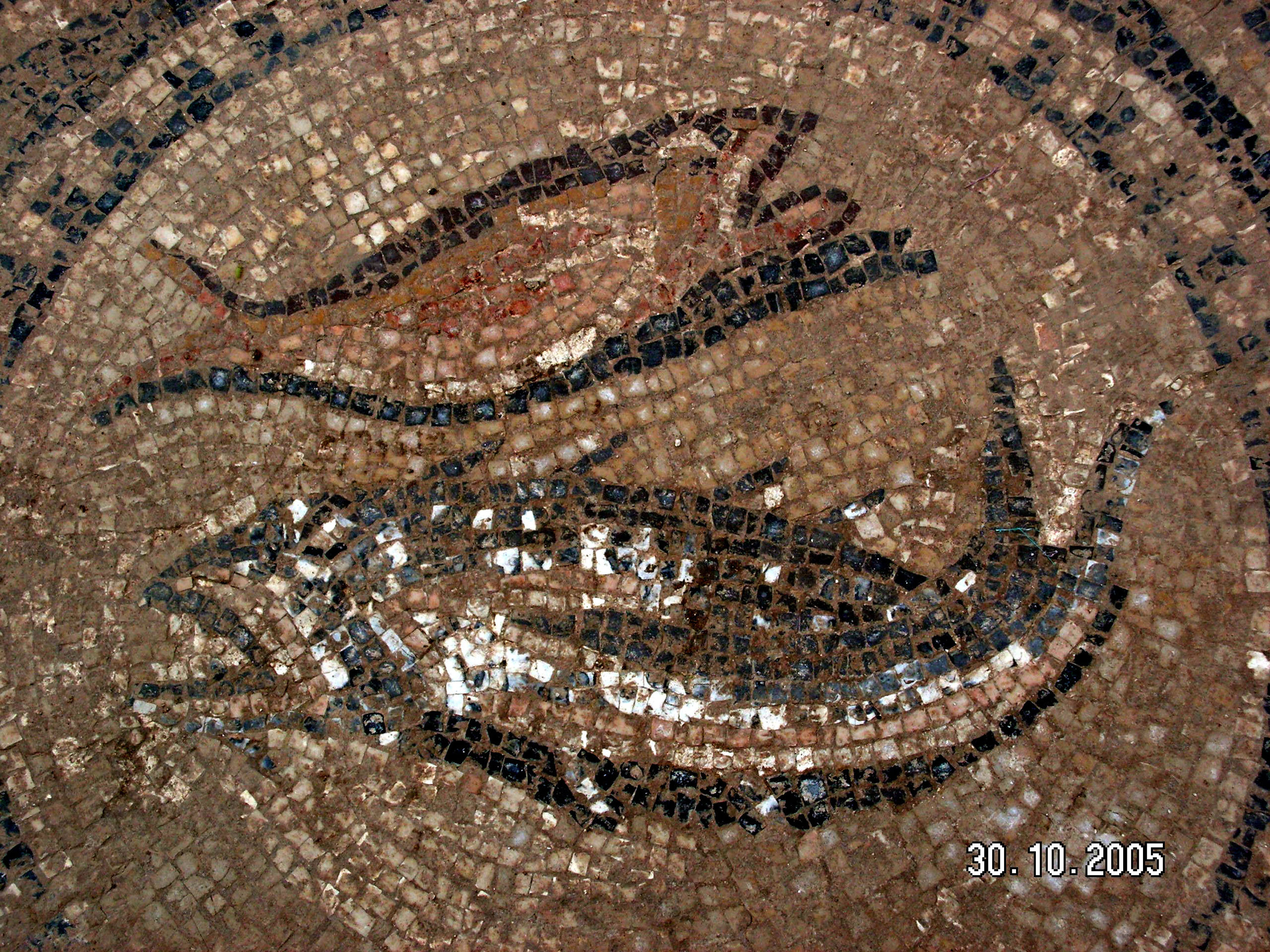 Museo de la Biblia busca adquirir el Mosaico de Megido; arqueólogos no están a favor
