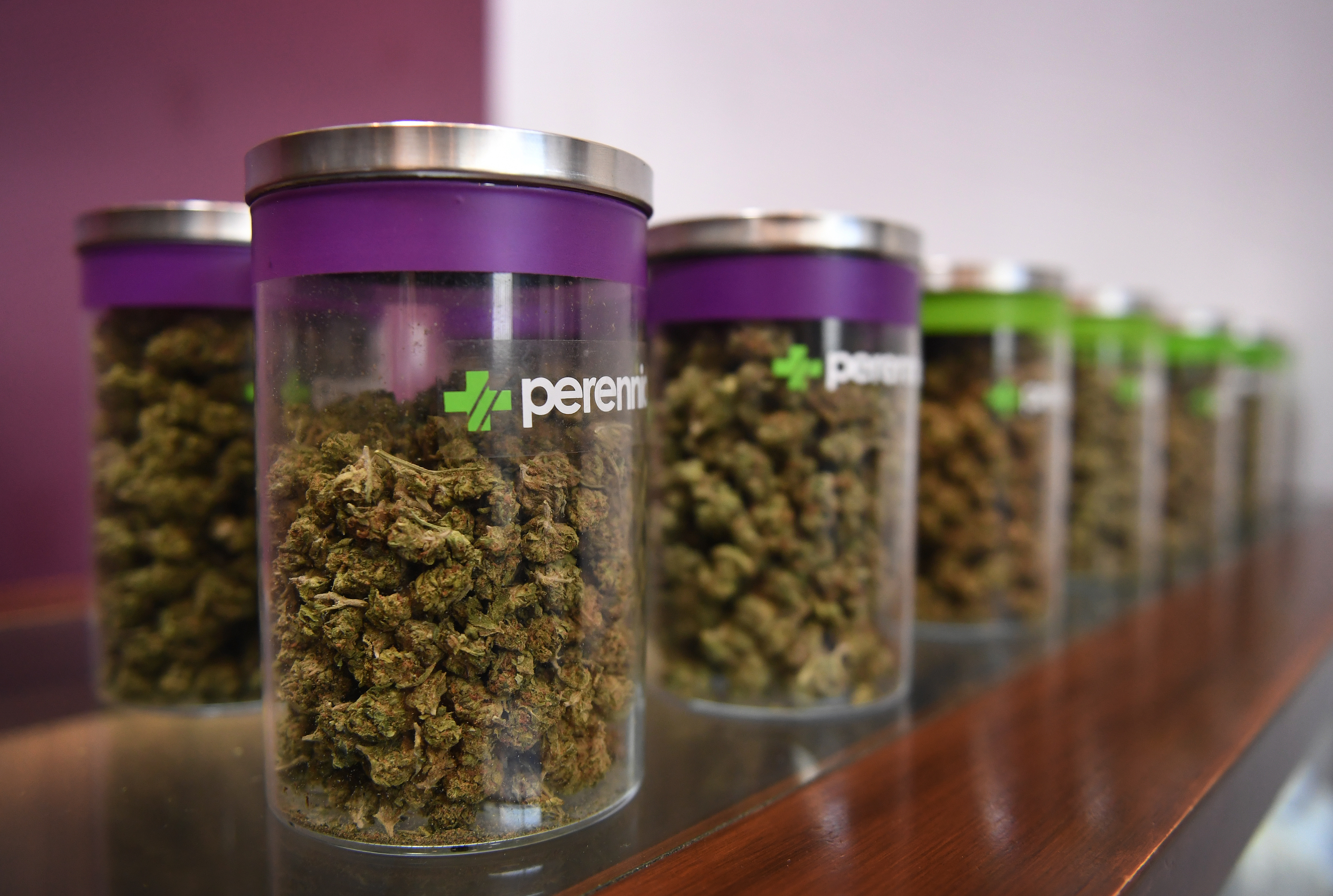 Francia aprueba el uso experimental del cannabis terapéutico
