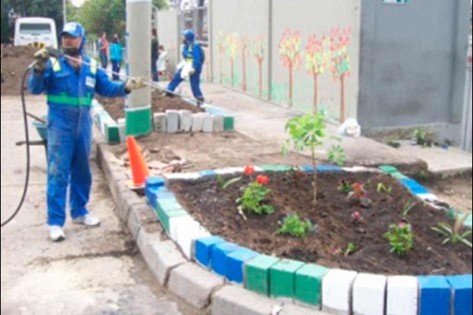 Sembrando plantas buscan eliminar zonas críticas de basura en Bogotá
