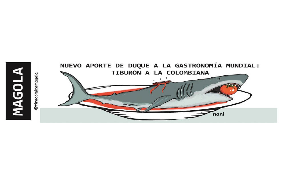 Aportes