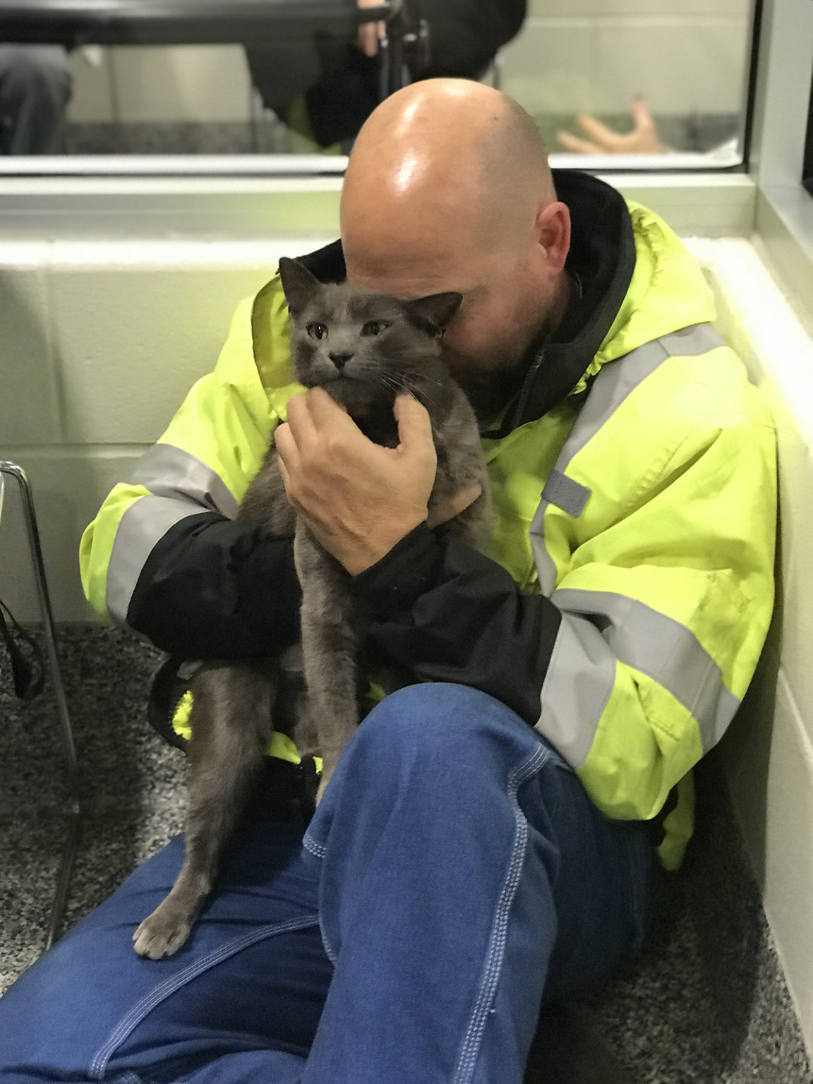 El emotivo reencuentro entre un hombre y su gato perdido en Estados Unidos.
