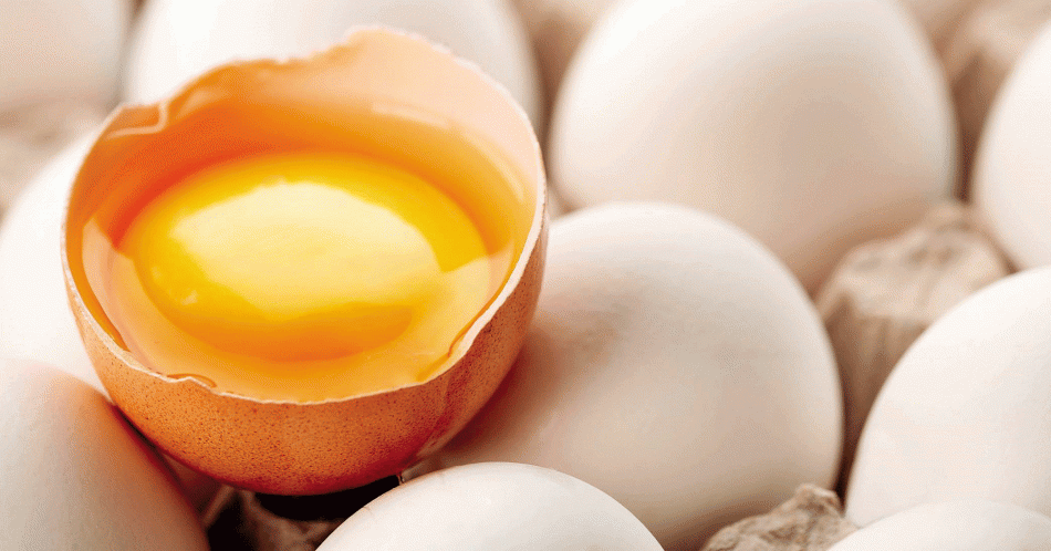 El huevo, más que un alimento