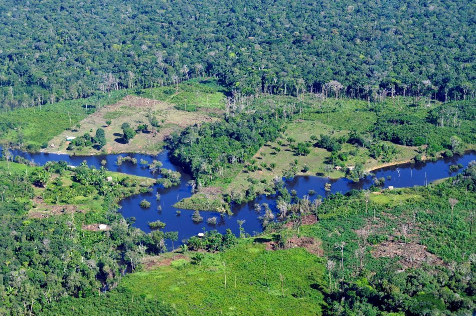 Ministros de exteriores se reúnen para cooperar en la protección de Amazonía