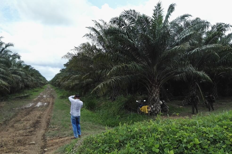Ordenan a la ANT cumplir con fallo de la Corte Constitucional en caso de la finca Bellacruz