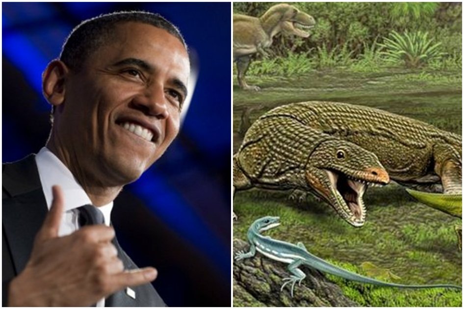 Bautizan lagarto extinto en honor Obama