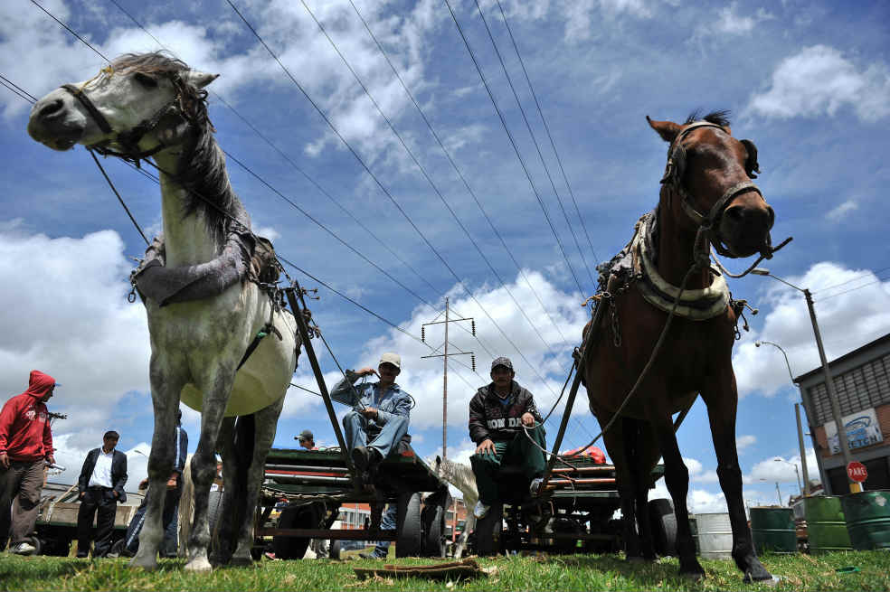 Desaparición de ‘zorras’ anda a su misma velocidad