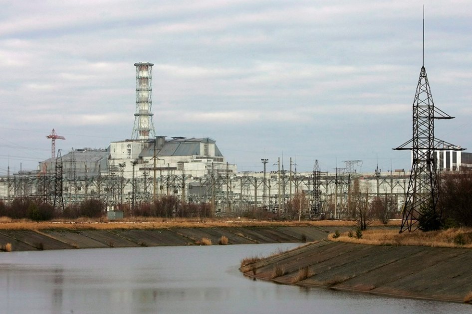 La fauna prospera en Chernobil 30 años después del accidente nuclear