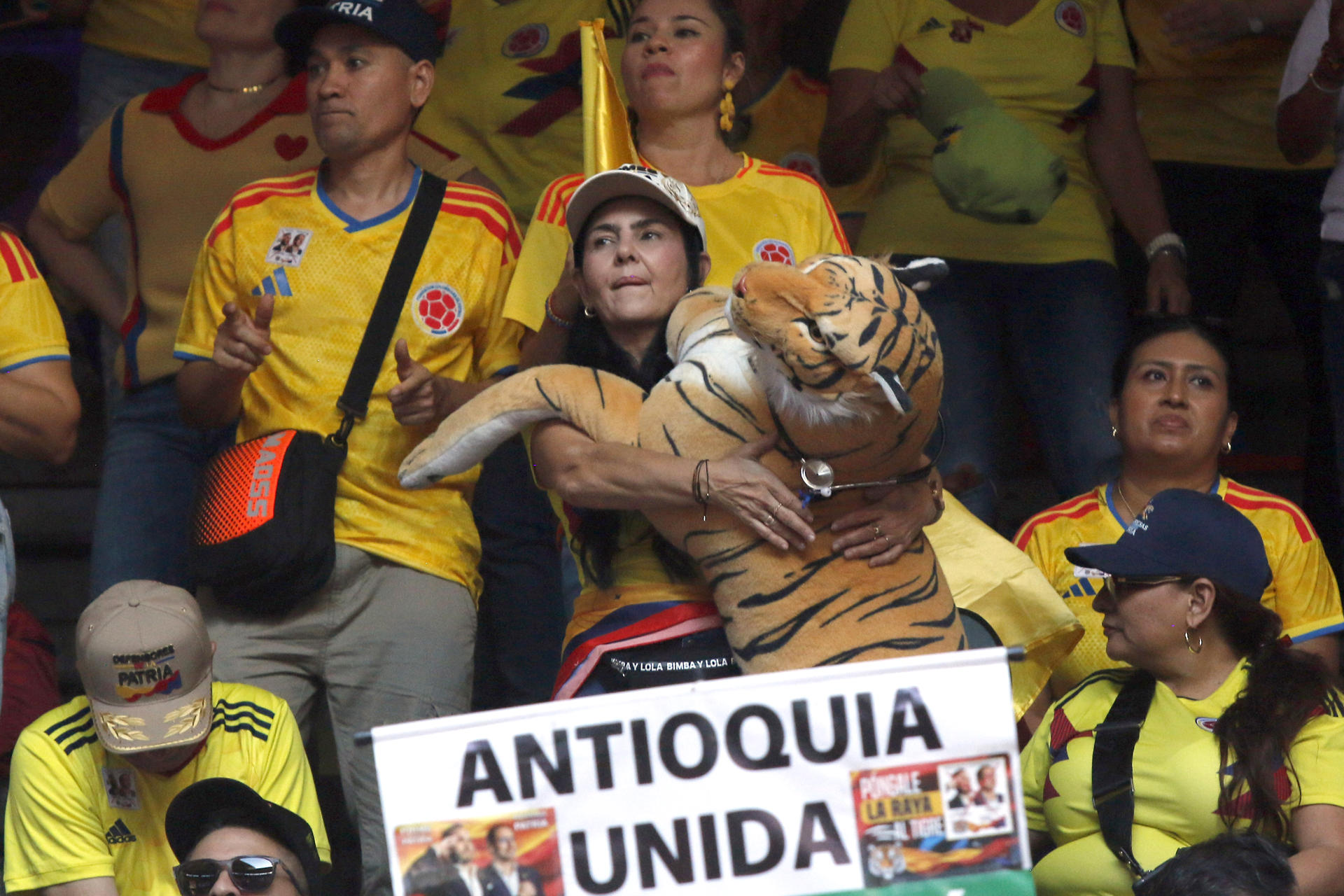 Las rayas de Antioquia (¿refundarán la patria?)