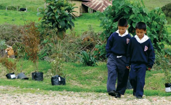 Podcast: Mambrú no va a la guerra, una estrategia para sembrar la semilla de la paz