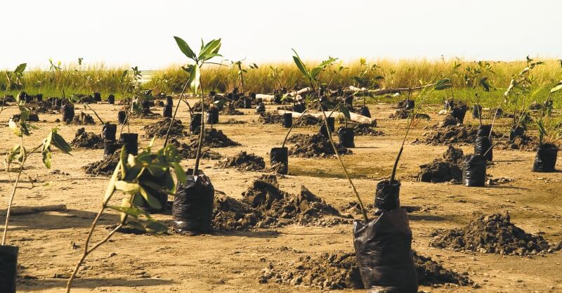 ¿Cuánto dióxido de carbono produce en su día a día?