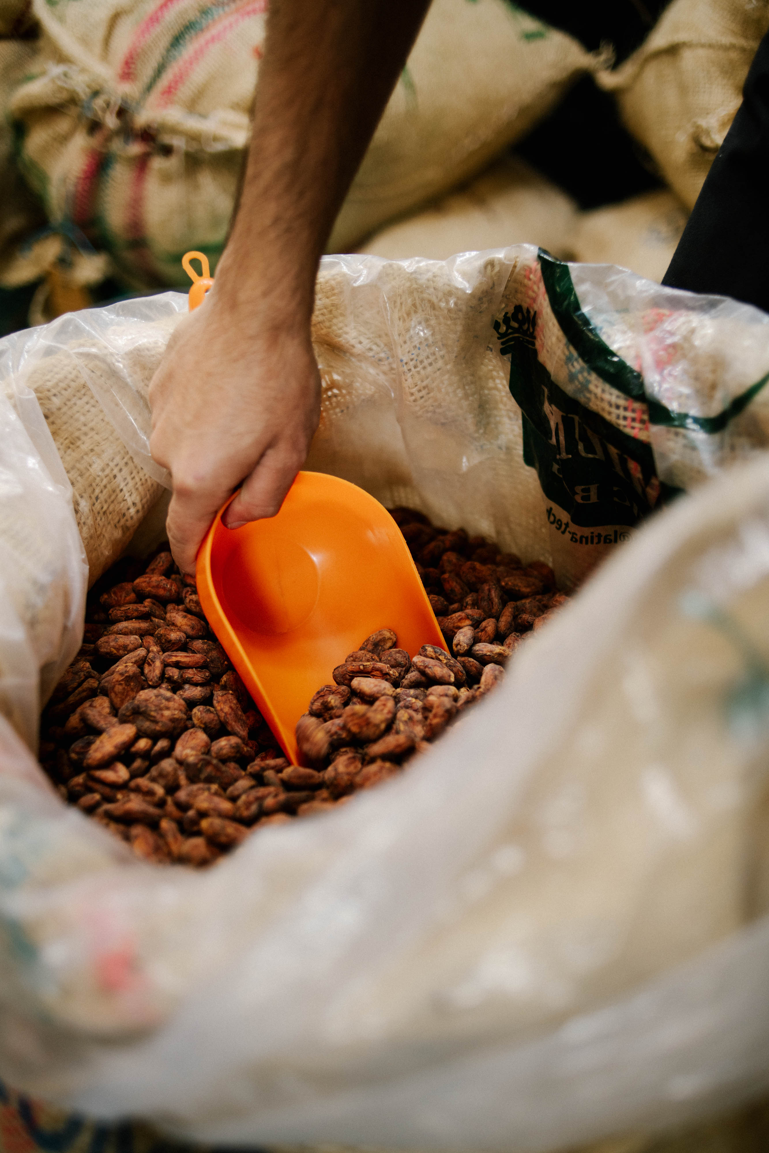 Cacao Disidente