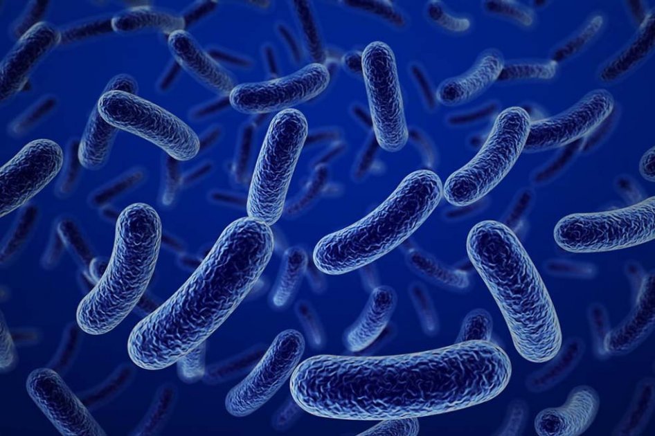 Delatados por nuestras bacterias