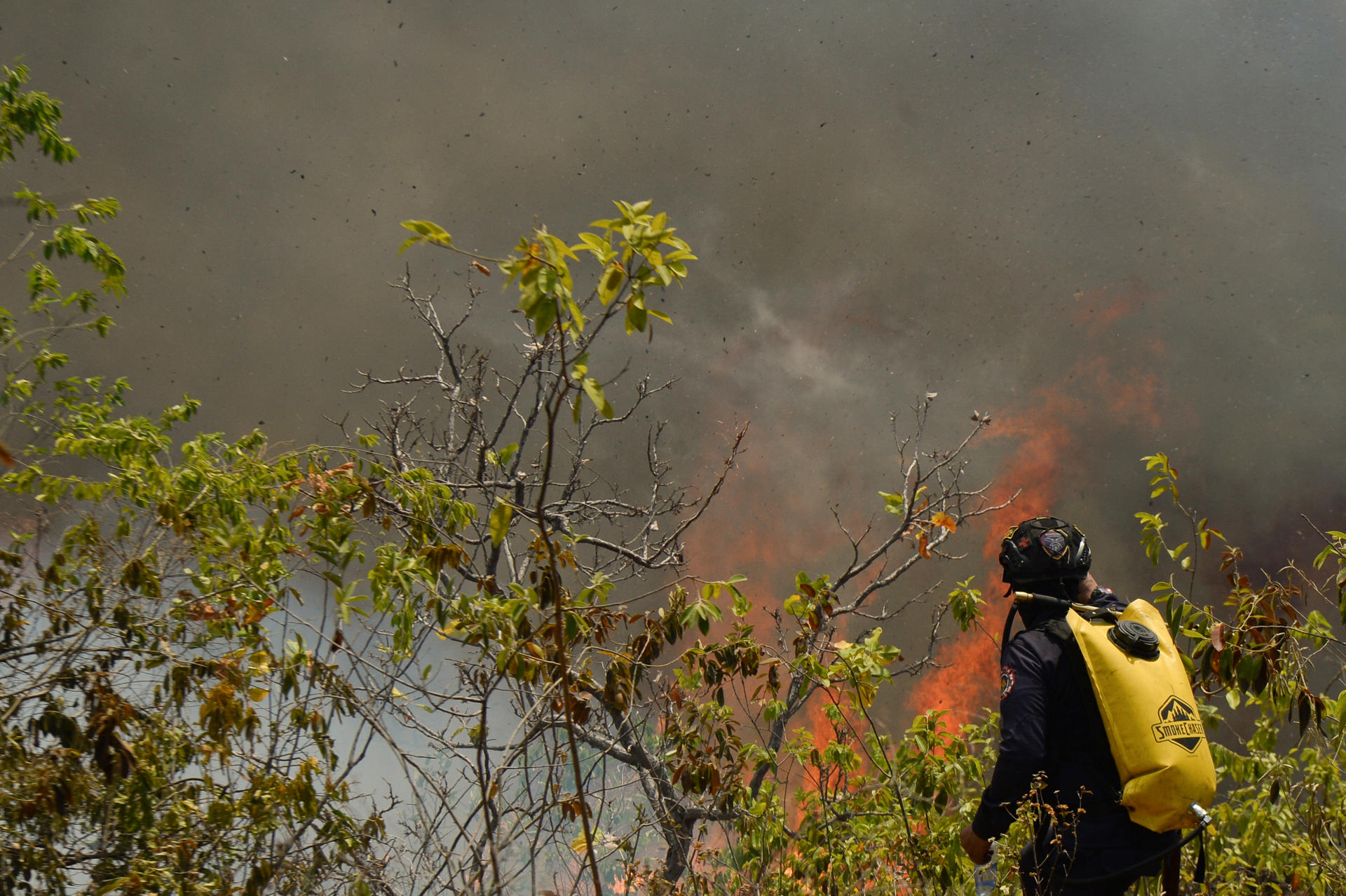 Los incendios forestales también son una emergencia de sanidad animal