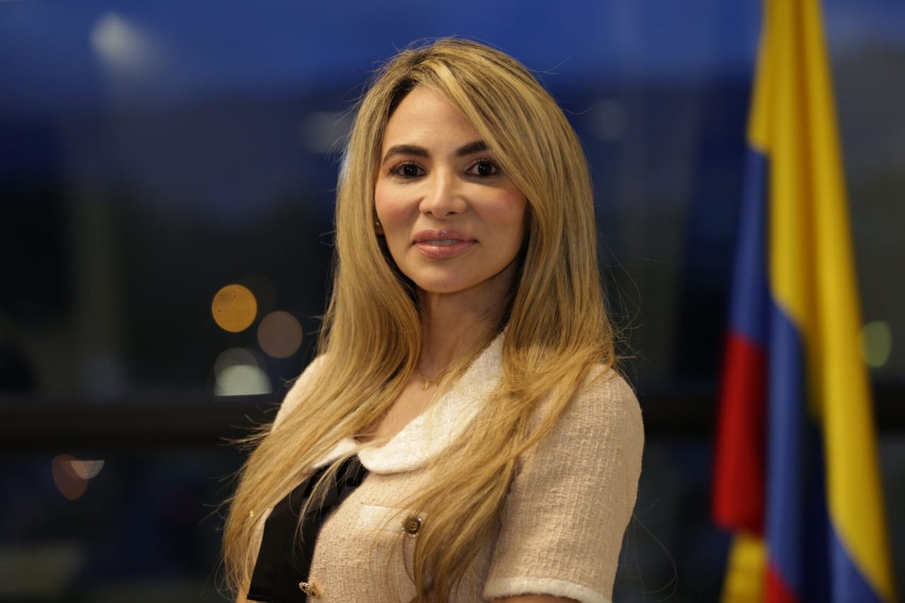 Saliente viceministra Ana María Aljure sería nueva directora del IGAC