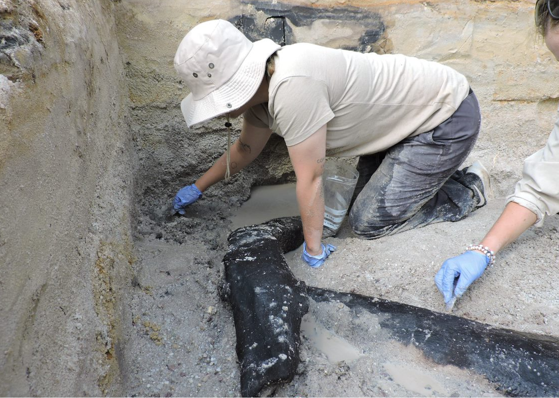 Esta es la estructura de madera más antigua que se conoce: tiene más de 470 mil años