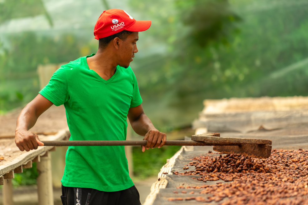 Cifra histórica: Finagro desembolsó más de $39,4 billones en créditos