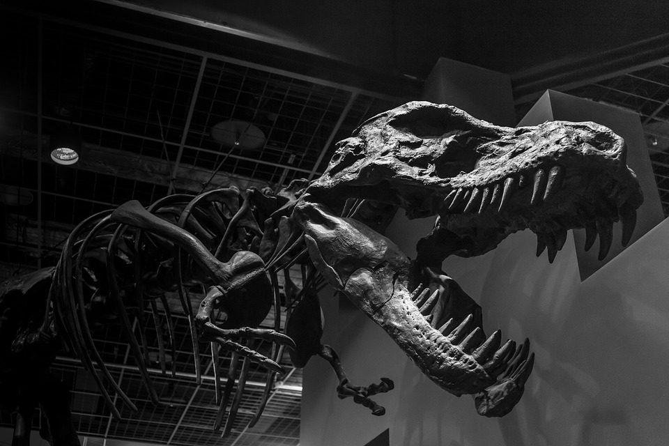 El meteorito de Chicxulub provocó la extinción del 75 % de las especies, incluidos los dinosaurios.