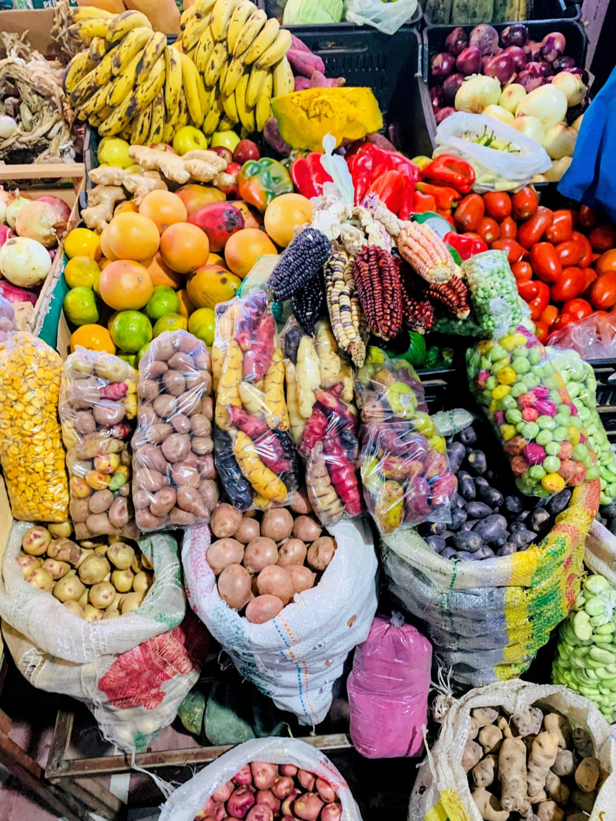 Papas y papines andinos del mercado de Tilcara, Jujuy