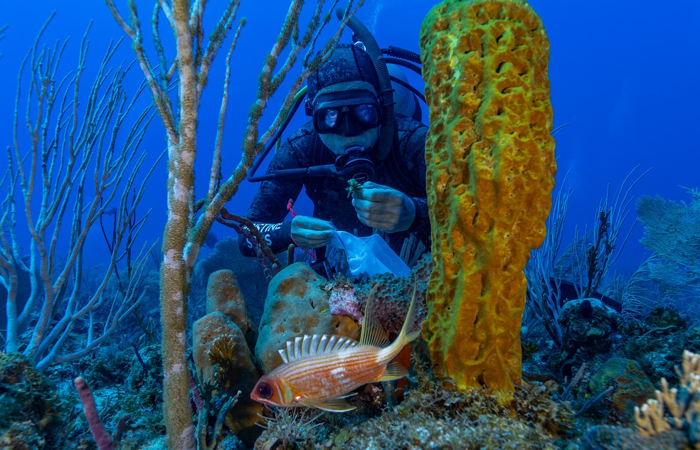 Kike Ballesteros, ecólogo marino experto en algas, parte del equipo científico de Pristine Seas, durante la expedición a Seaflower. / Serranilla, uno de los puntos de expedición, desde el aire. Coralina aseguró que esta zona sería declarada Área Marina Protegida a raíz de la información recopilada por el equipo científico. / Foto: Manu San Félix - National Geographic