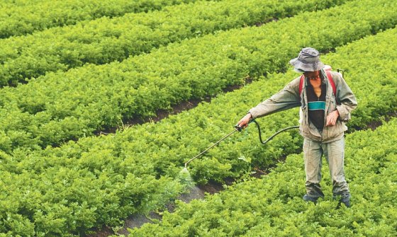 Recientemente, la SAC ha impulsado la conformación de una alianza para el desarrollo de la agroindustria. / EFE
