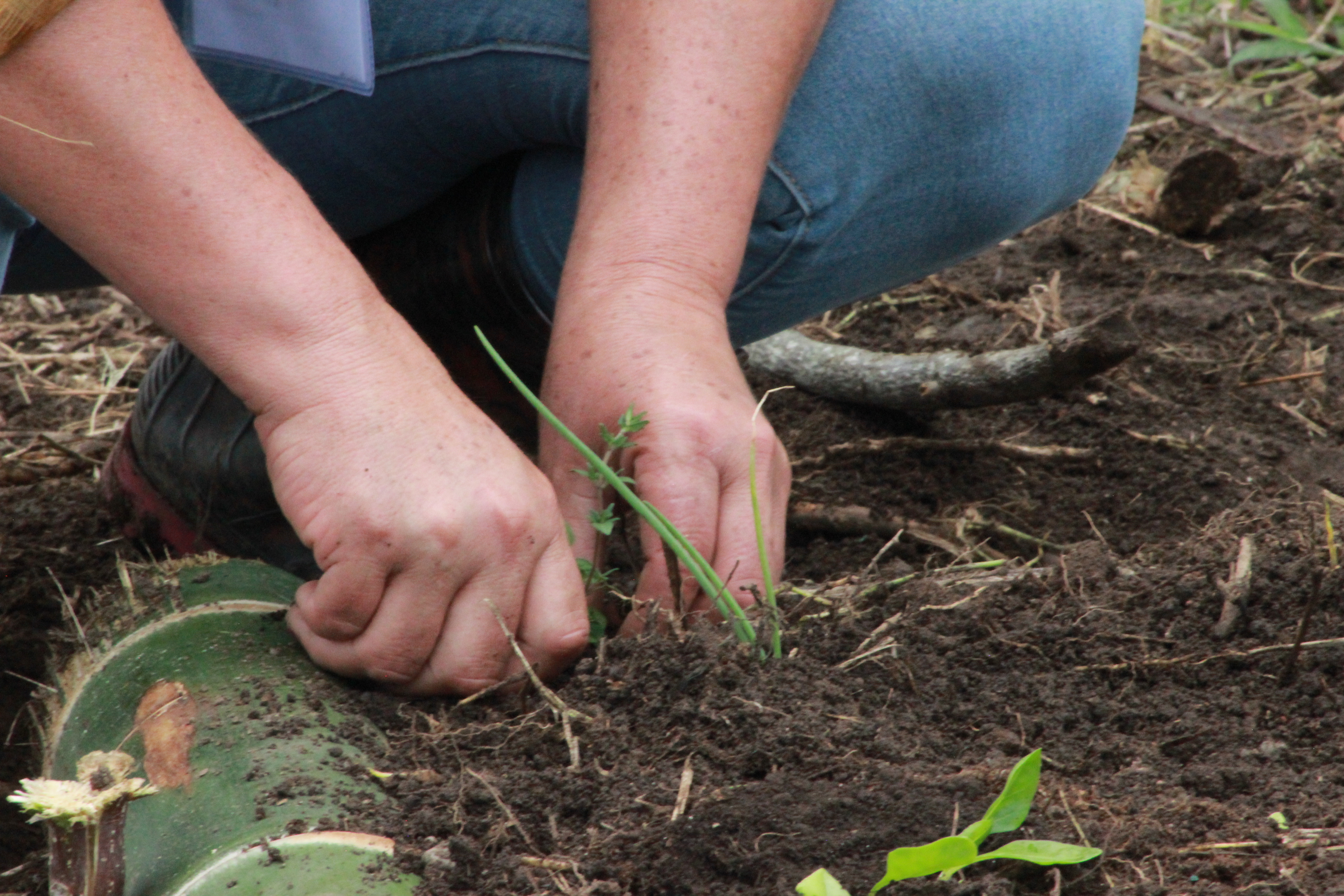 La bioeconomía basada en el aprovechamiento sostenible de los recursos naturales es crucial para la agroecología.