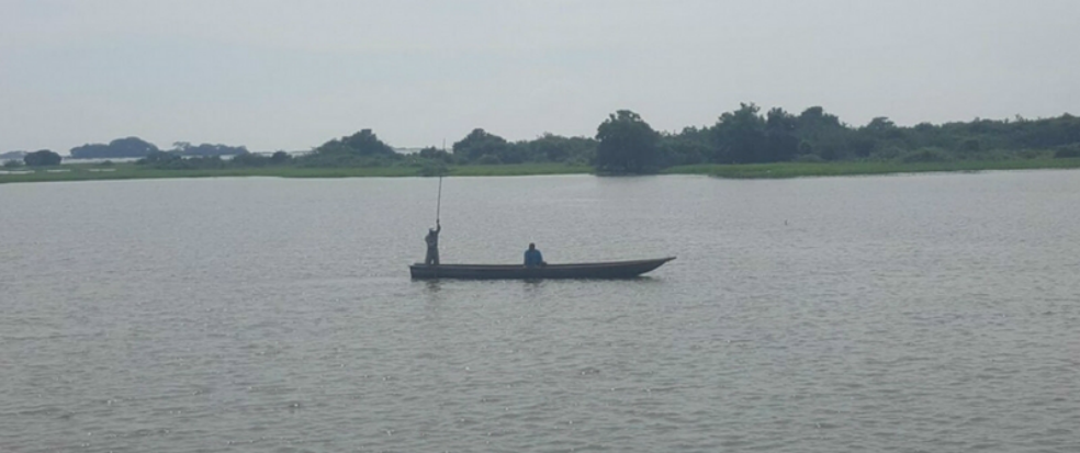 Ciénaga de Zapatosa, en Cesar, podría tener protección de carácter internacional