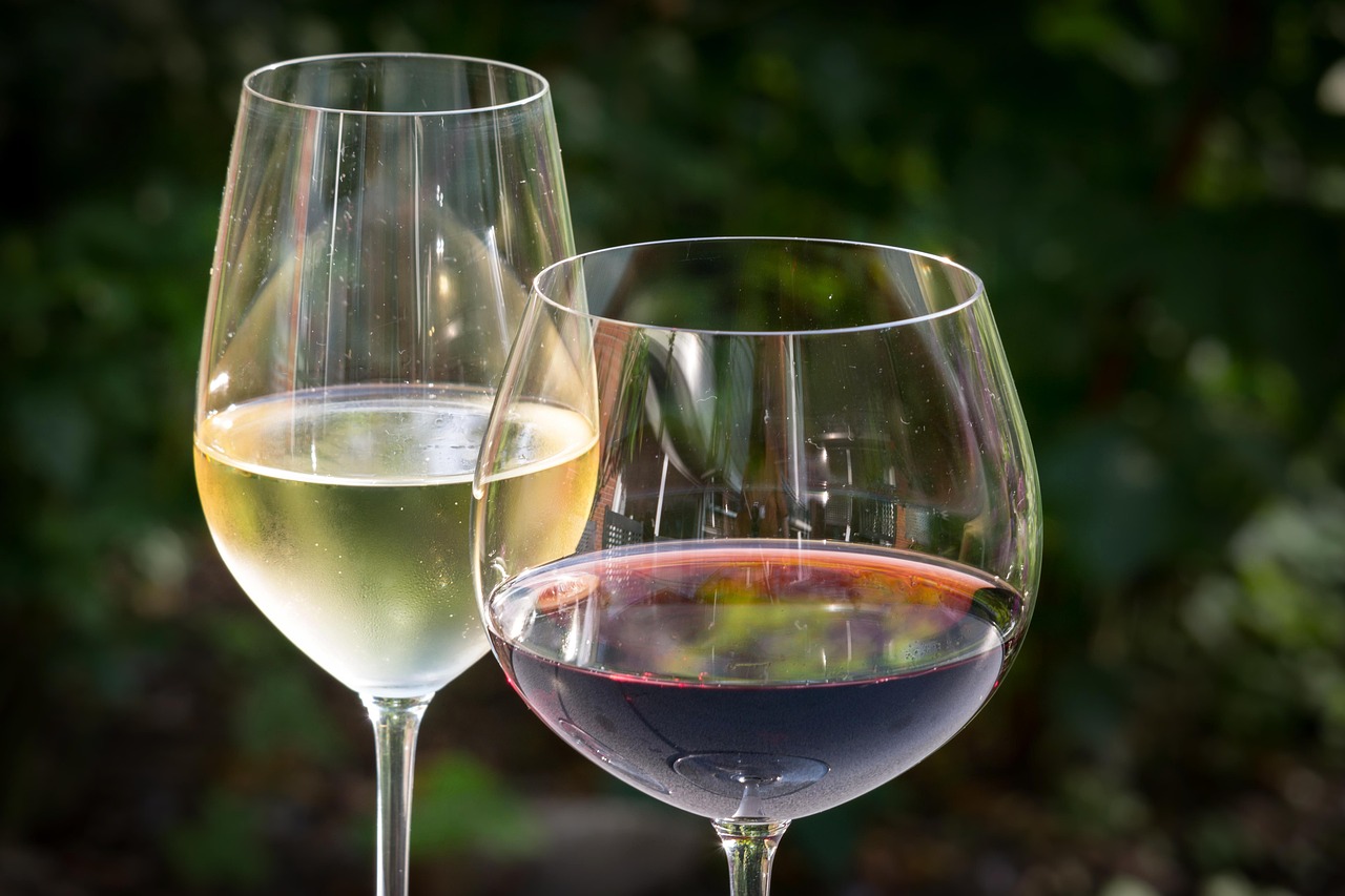 Festival vino y tinto: fecha, ciudad y dónde inscribirse de forma gratuita