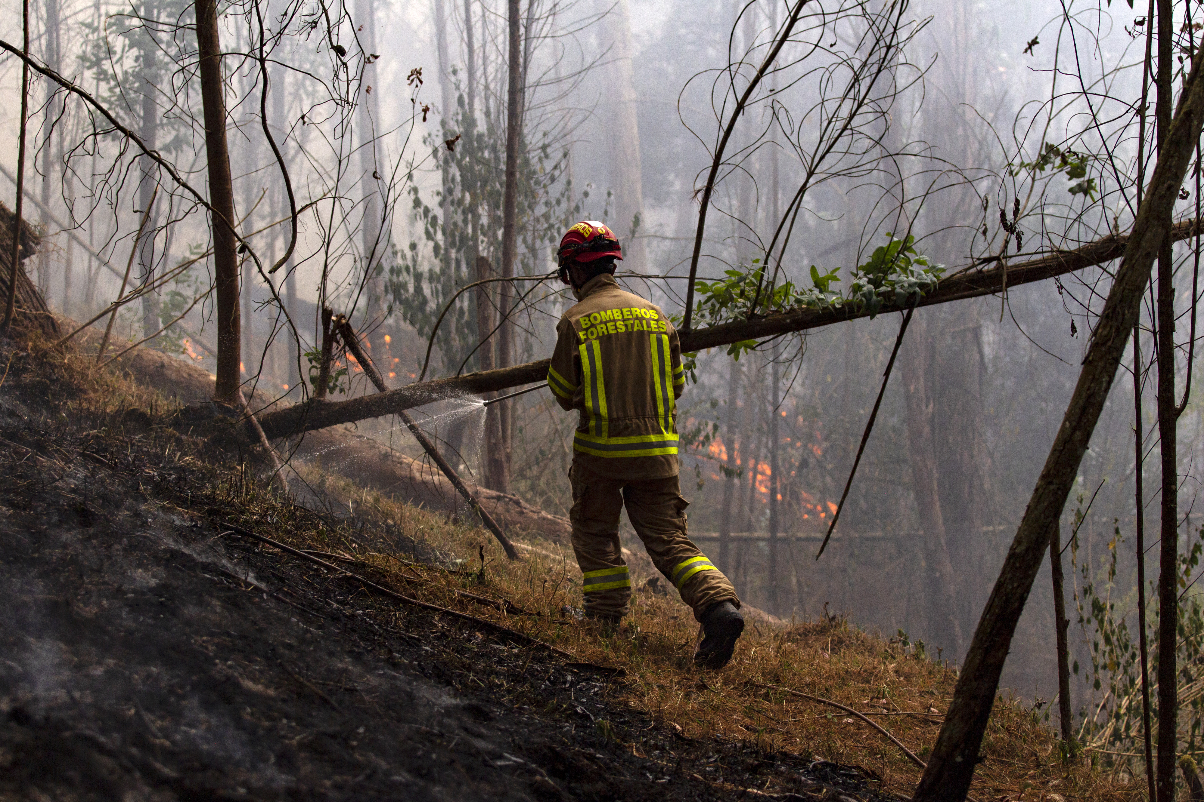Incendios forestales arrasan menos tierra, pero amenazan a más personas en el mundo