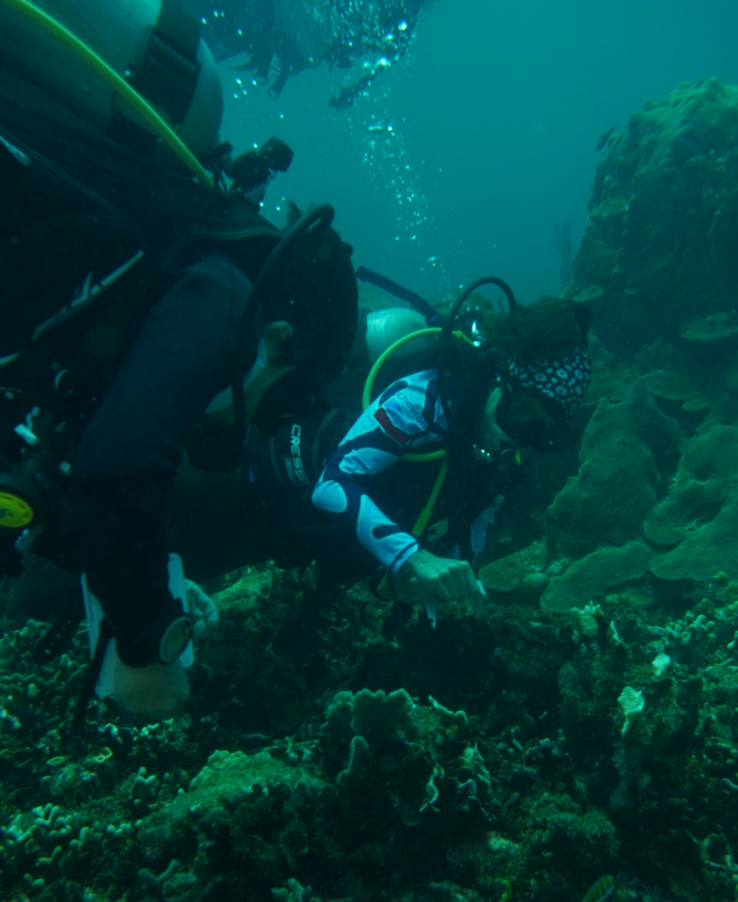 Expedición Reefcheck