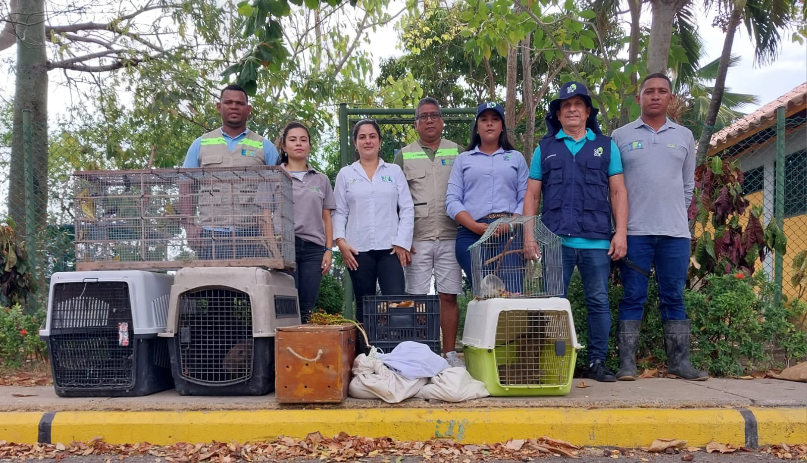 Liberan a 33 animales silvestres en Cartagena que fueron decomisados o recuperados