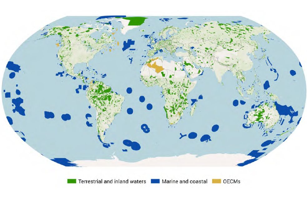 Áreas protegidas y otras medidas efectivas de conservación basadas en áreas (OECM) del mundo, agosto de 2024. Las áreas protegidas terrestres se muestran en verde, las áreas protegidas marinas en azul y las OECM en naranja.