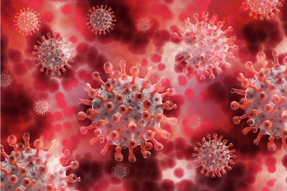 La poética del virus o el ineludible súcubo