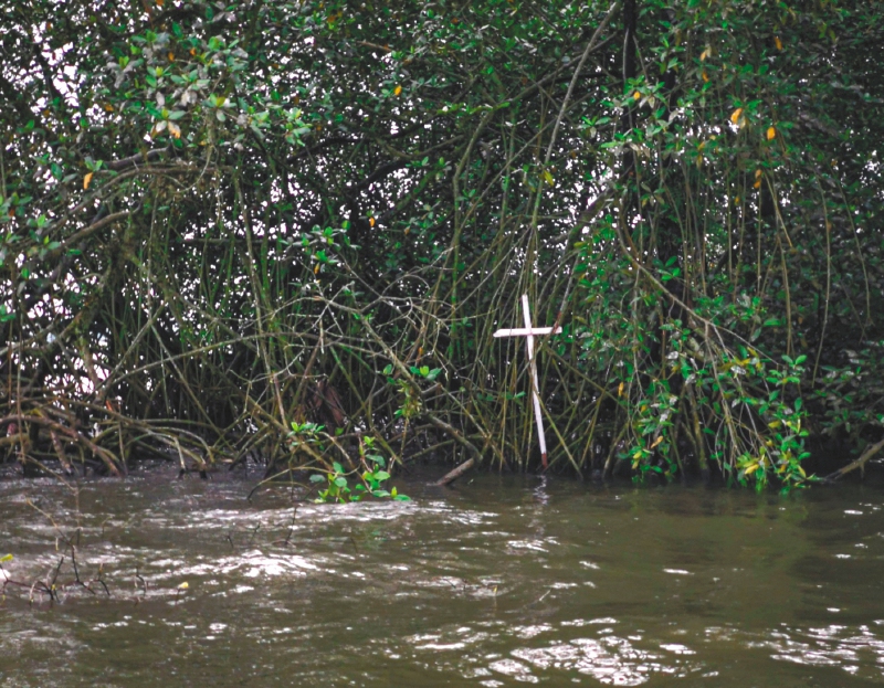 A media máquina: así va la búsqueda de desaparecidos en el estero San Antonio