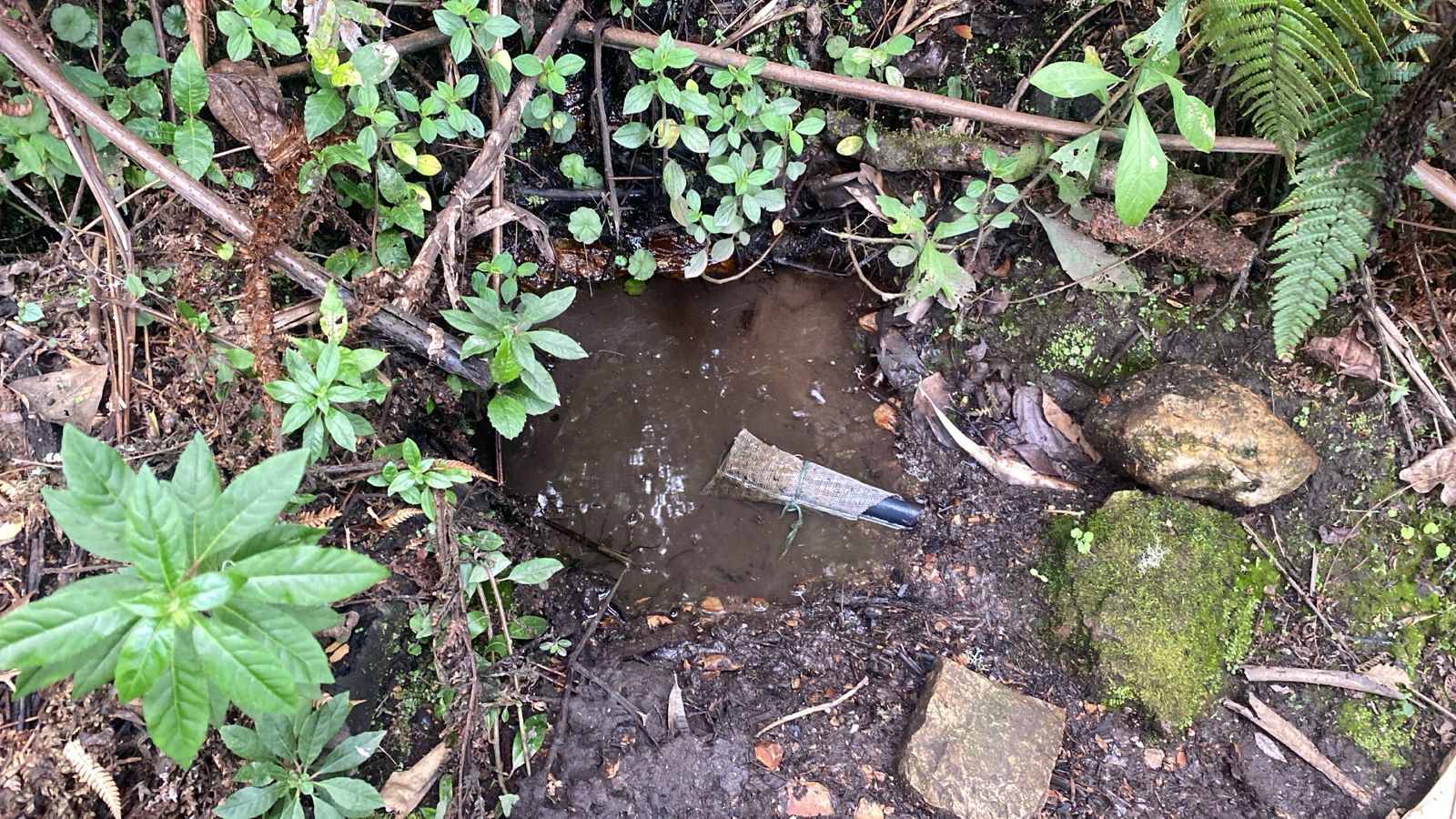 Autoridad ambiental puso freno a una captación ilegal de agua de una quebrada en Sopó.