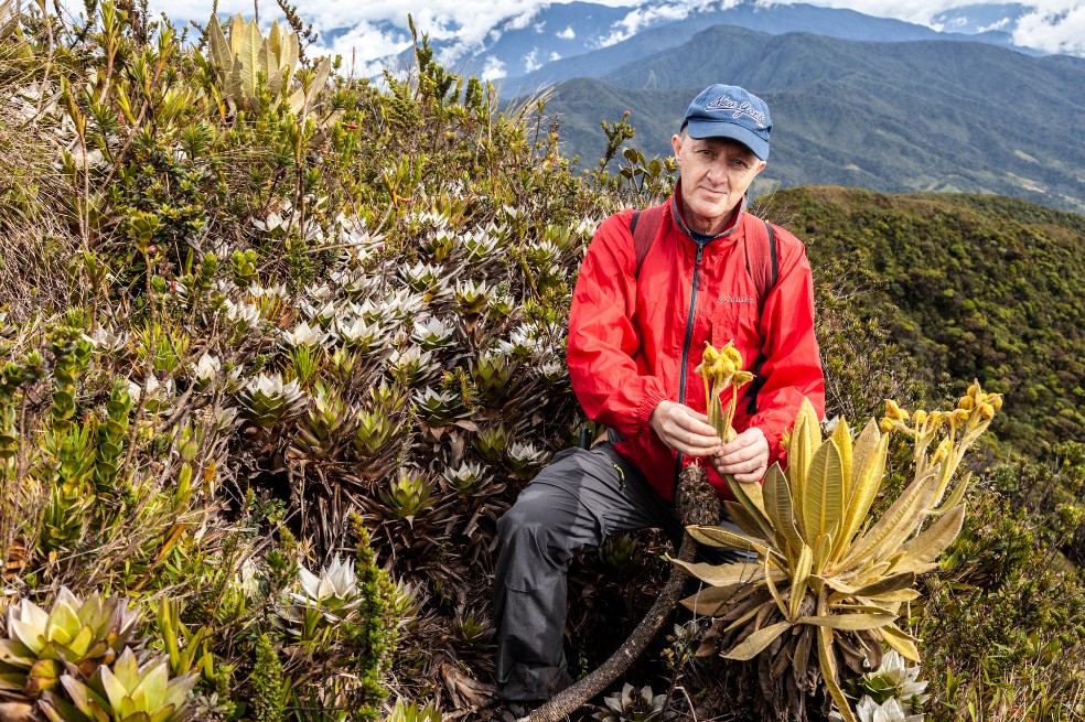 Según Fernando Álzate, biólogo de la Universidad de Antioquia y lider del estudio, existen apenas entre 300 y 400 ejemplares de la nueva especie.