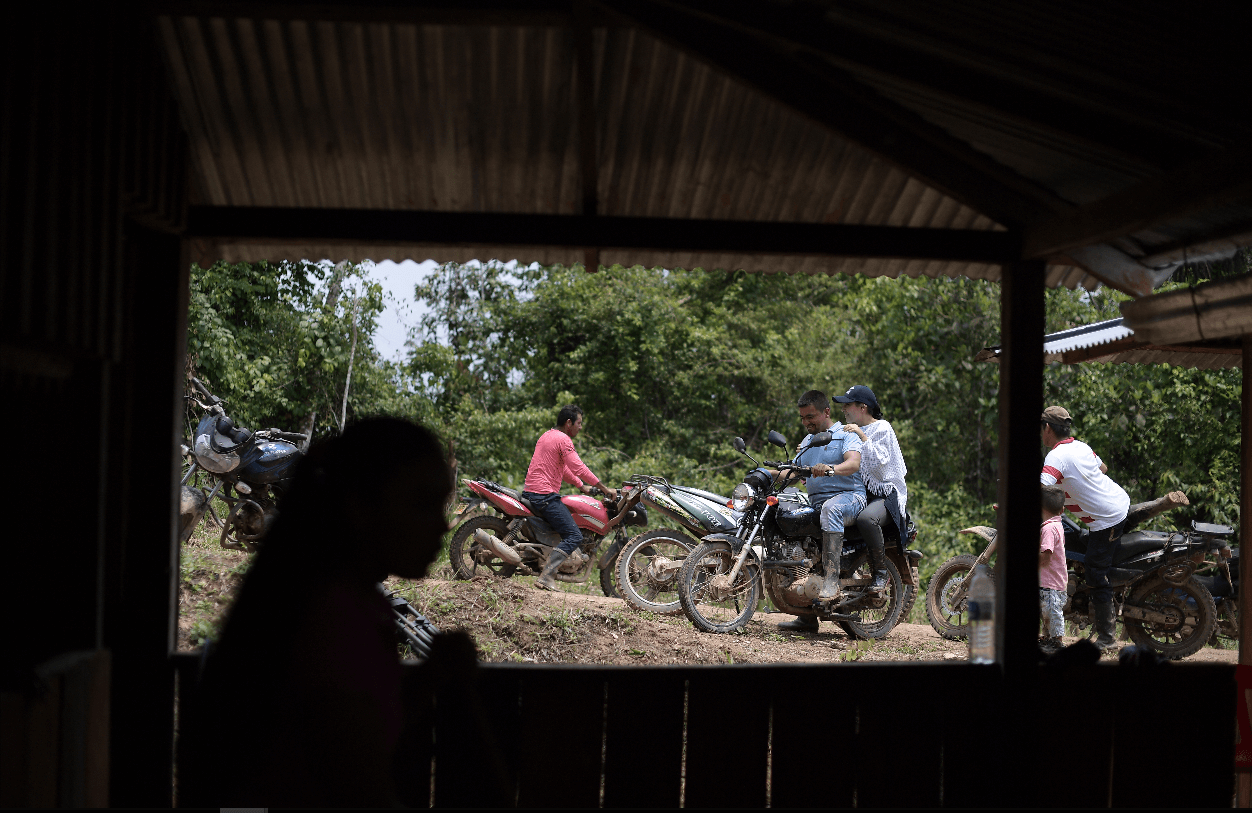 ¿Volver a la coca?: la paz que falta por llegar al suroriente de Colombia