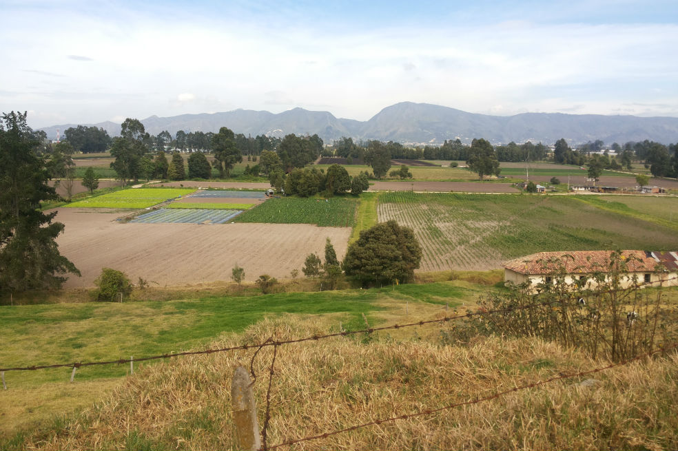 En este sector de Bogotá se construirá el bosque urbano más grande de Latinoamérica