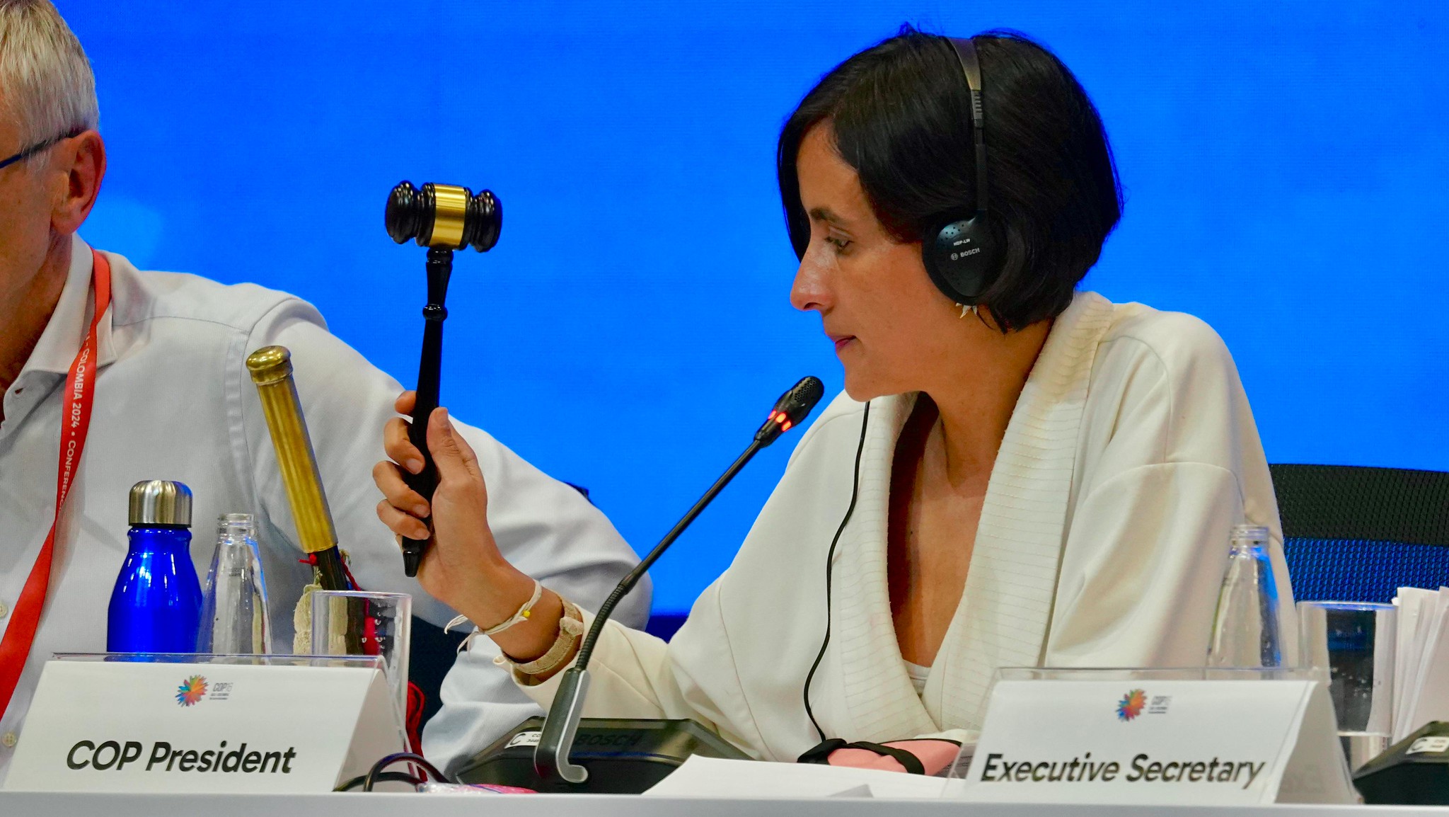 cop16 - plenaria de cierre