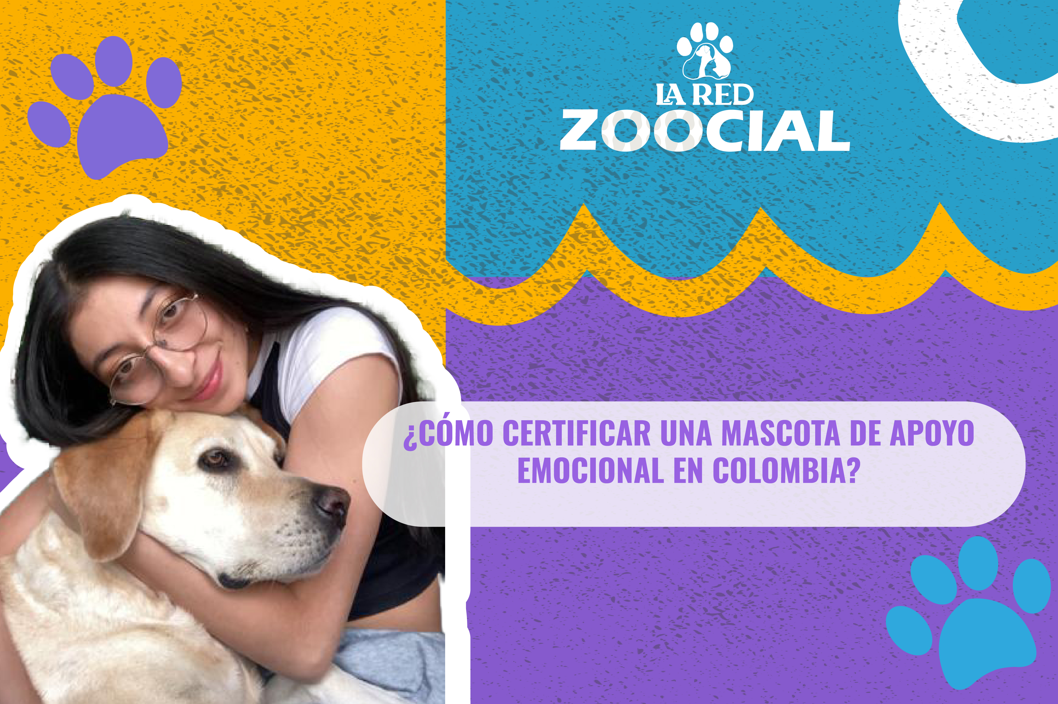 (VIDEO) ¿Cómo certificar una mascota de apoyo emocional en Colombia?