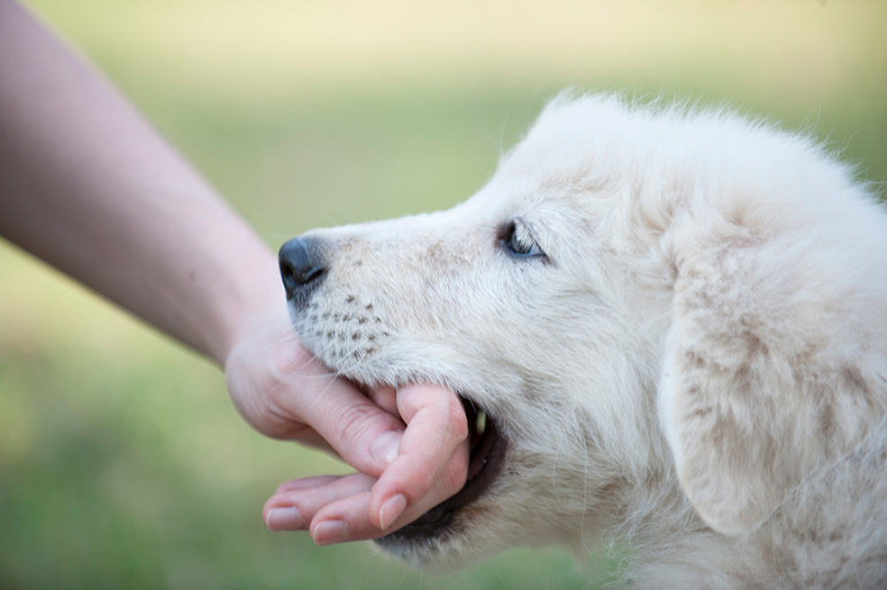 Foto: iStock.
