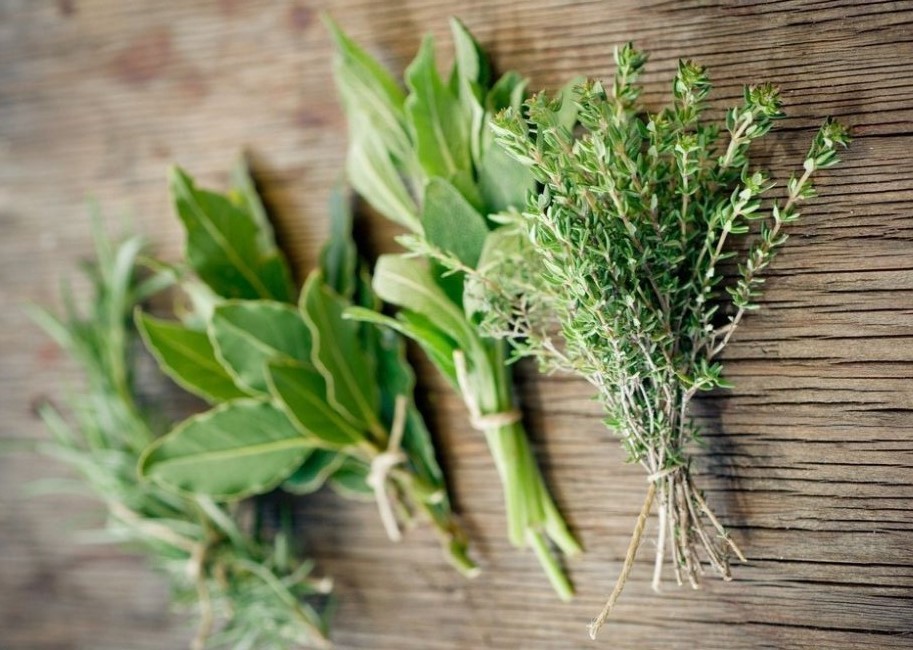 3 Plantas ornamentales que atraen la buena fortuna a tu casa