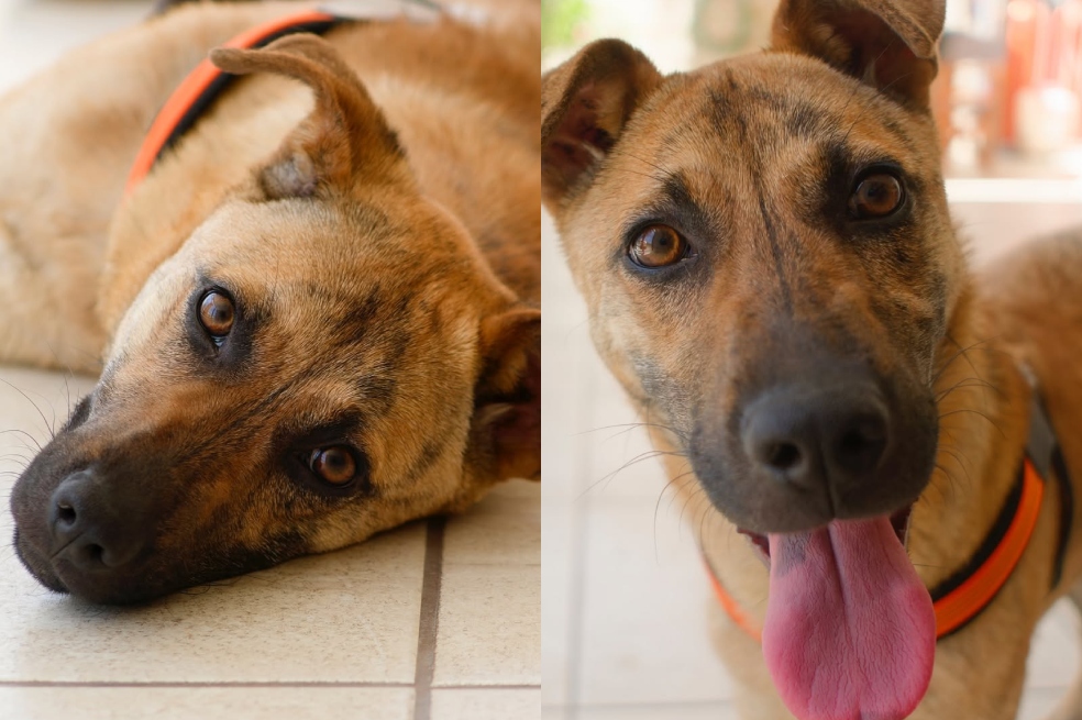 Ignacia fue adoptada y devuelta por quienes pensó que serían su nueva familia