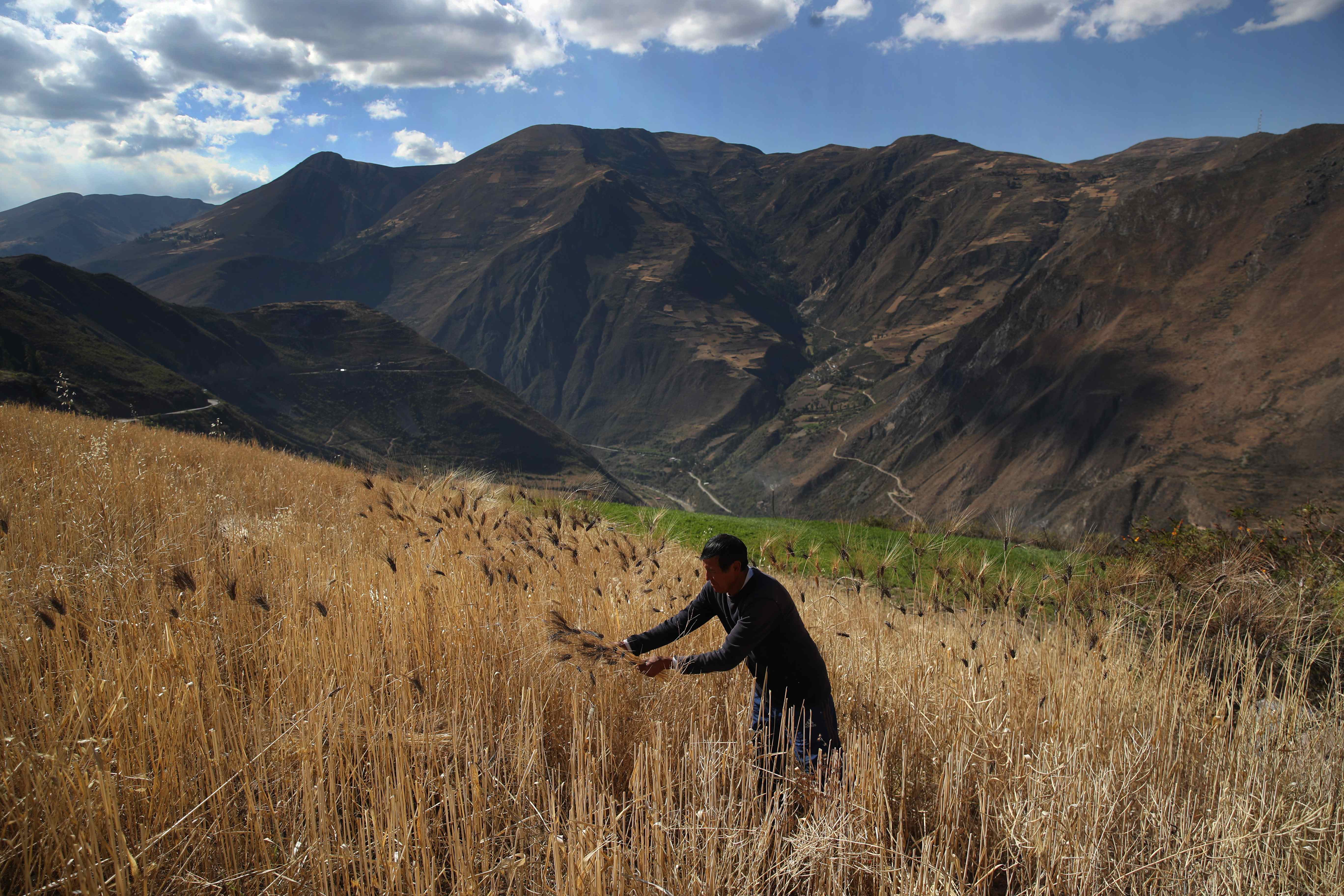 ¿Por qué los bancos mundiales están interesados en productos hacia la naturaleza?