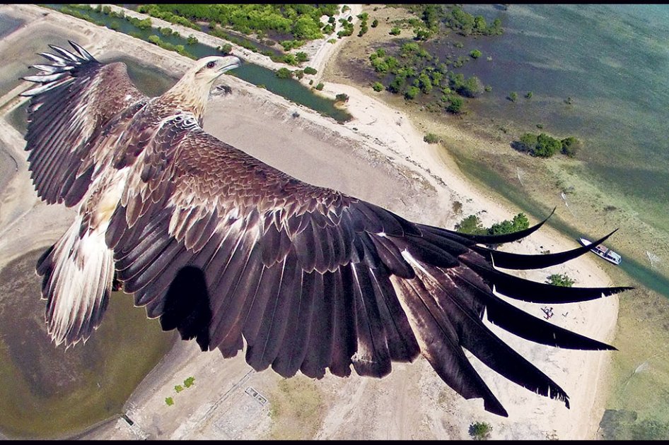 El mundo visto desde un dron