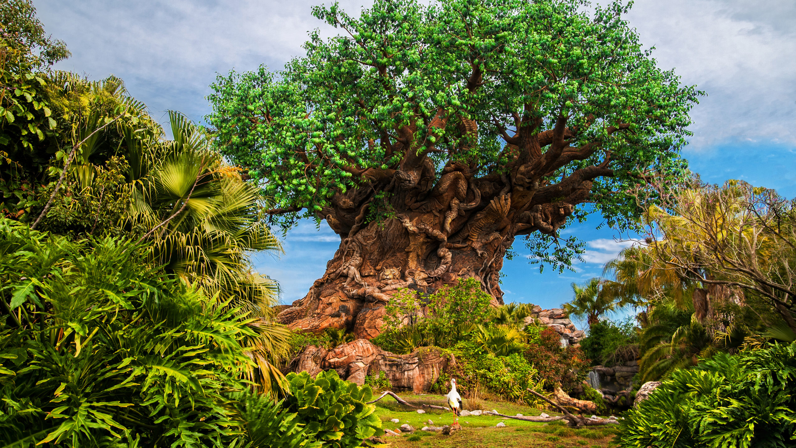 ¿Cómo se celebra el Día de la Tierra en Disney’s Animal Kingdom?