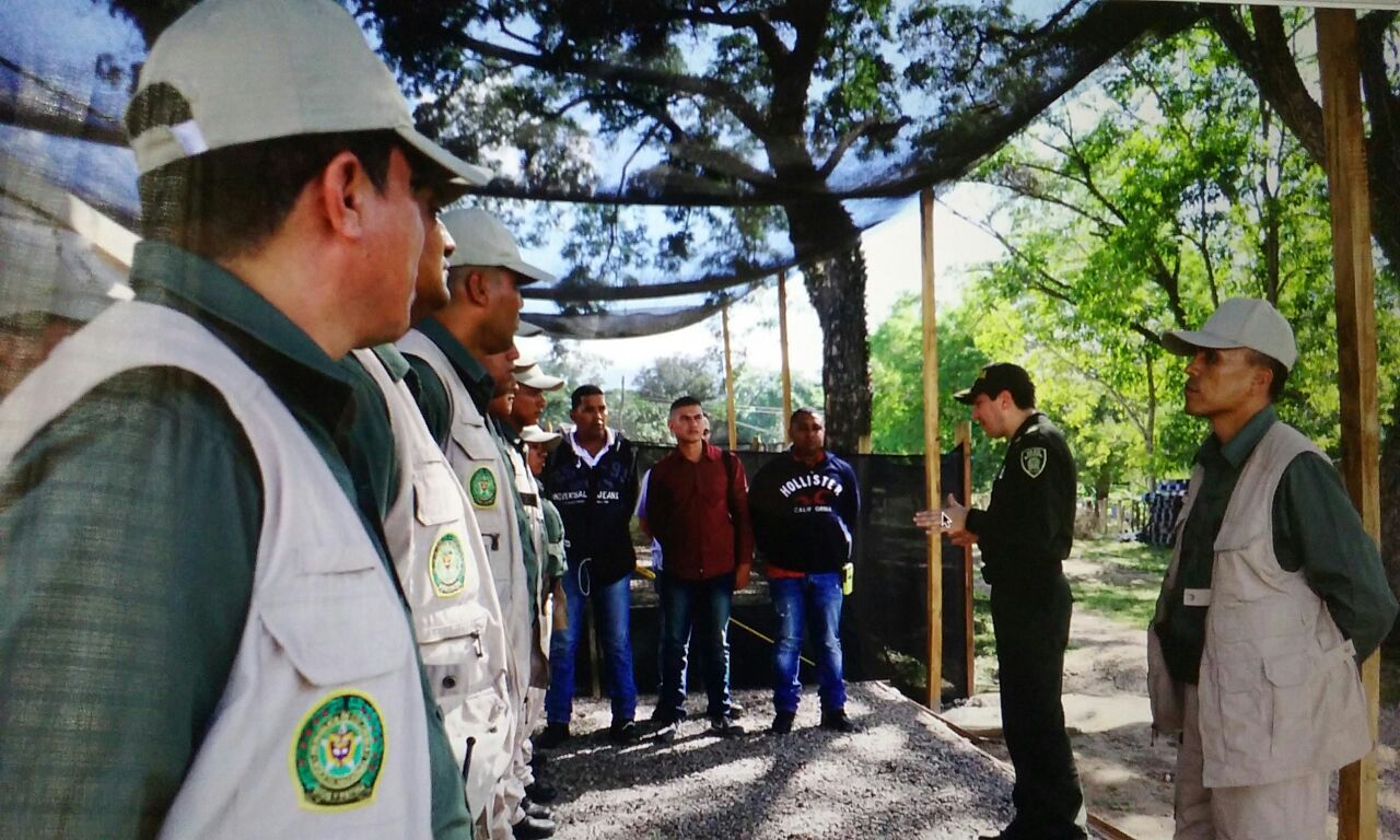 10 claves para entender cómo se concentrarán las Farc