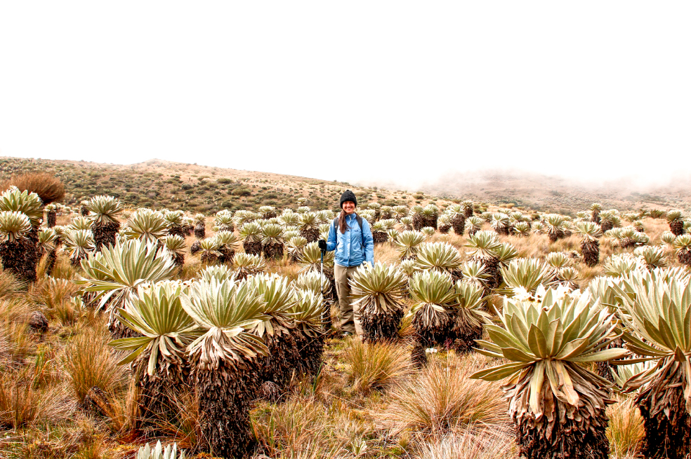 6 destinos de altura imperdibles en Colombia para visitar